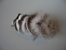 Platinring mit Brillianten (Fishtail)